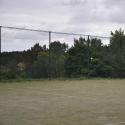 Hanuschi forehand 2012
